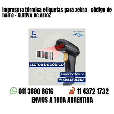 Impresora térmica etiquetas para zebra  código de barra - Cultivo de arroz